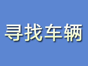 定日寻找车辆